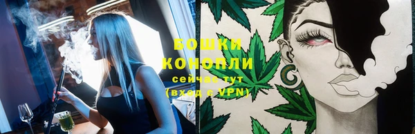 индика Надым