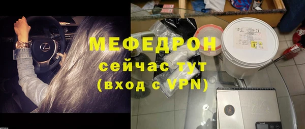 индика Надым