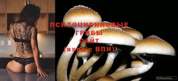 не бодяженный Навашино