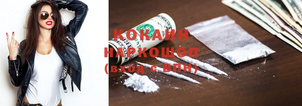индика Надым