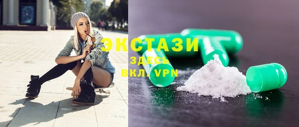 индика Надым