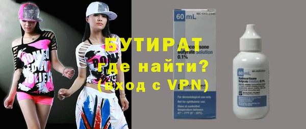 индика Надым