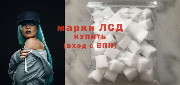 индика Надым