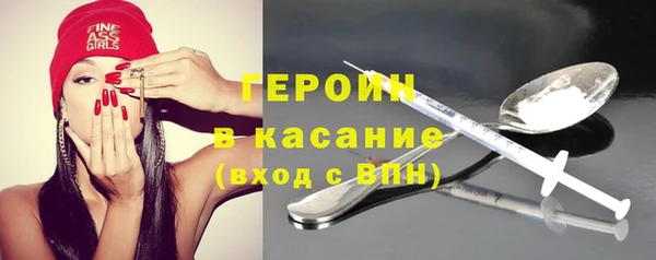 индика Надым