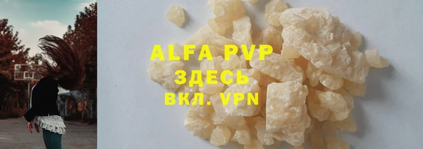 индика Надым