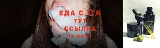 индика Надым