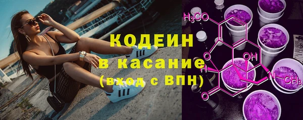 индика Надым