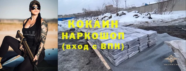 индика Надым