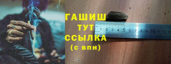 прущий лед Бикин