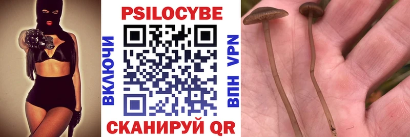 наркота  Краснослободск  Псилоцибиновые грибы мухоморы 