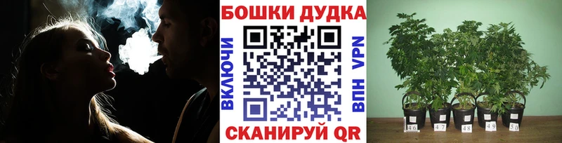 mega маркетплейс  Краснослободск  Канабис индика 